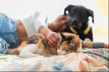 Por qué los perros y gatos comen pasto y plantas