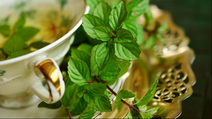 Infusiones: todos sus beneficios.