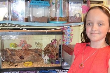 Una chica colecciona más de 4.000 cucarachas vivas en su casa