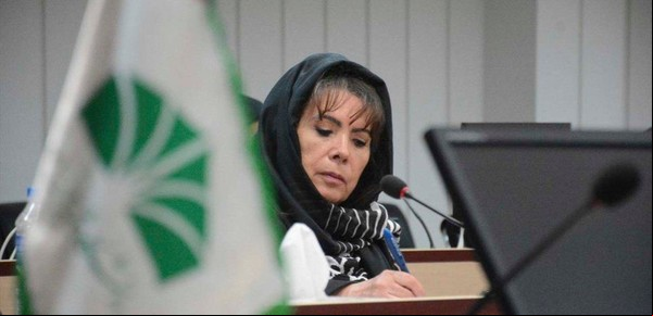 El gobierno recibió alertas extranjeras de inteligencia por la presencia de iraníes en la región