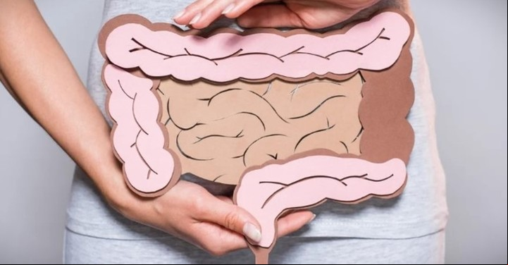 El salvado de avena contribuye a prevenir enfermedades inflamatorias intestinales.