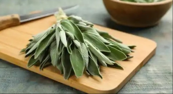 Salvia, hierba versátil se puede usar para el cabello.
