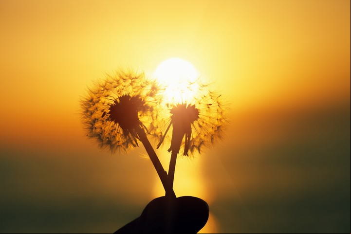 El solsticio de verano marca el día más largo del año. En el sur del planeta ocurre en diciembre, en el norte, sucede en junio. Foto: ilustración Shutterstock