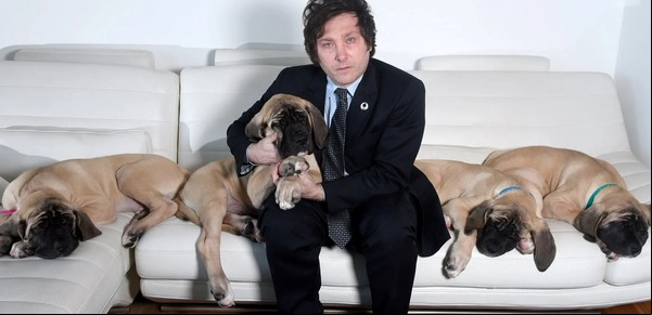 Javier Milei contó cuál de sus "hijos de cuatro patas" se parece más a él por su personalidad