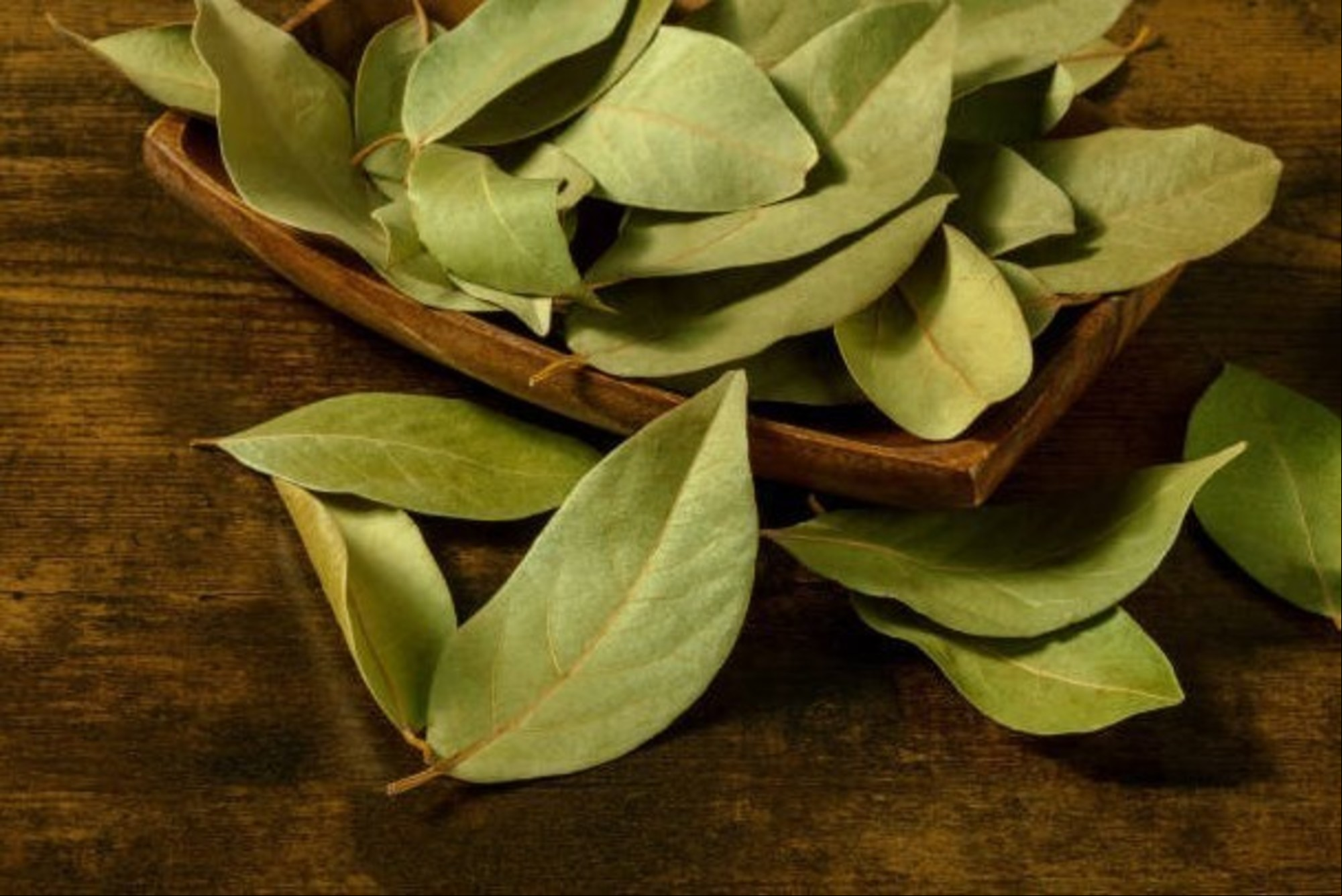 Cuál es el ritual con hojas de laurel durante la Luna creciente para atraer dinero