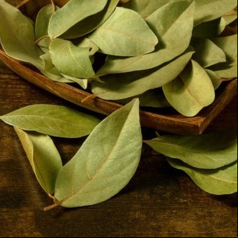 Cuál es el ritual con hojas de laurel durante la Luna creciente para atraer dinero