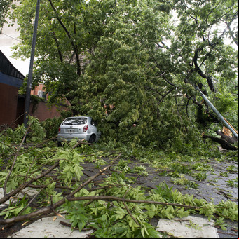 Siguen los efectos del temporal: estado de emergencia en la provincia de Buenos Aires, 250 mil s sin luz y calles cortadas por árboles caídos 