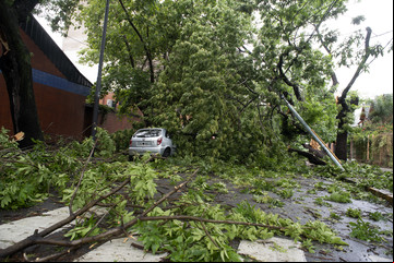 Siguen los efectos del temporal: estado de emergencia en la provincia de Buenos Aires, 250 mil s sin luz y calles cortadas por árboles caídos 