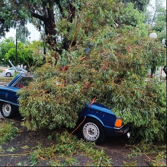 Violento temporal en Miramar: murió un joven de 17 años y hay graves destrozos