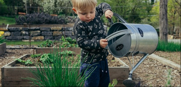 Vinagre blanco para las plantas: para qué sirve y cómo aplicarlo para dar protección