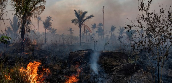 El colapso del Amazonas podría producirse "más rápido de lo que pensamos"