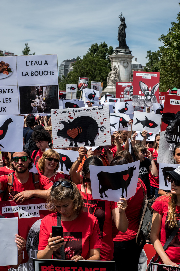 Protesta por la derechos de los animales en París, 2018.
Foto: Nicolas Liponne/NurPhoto AFP.

