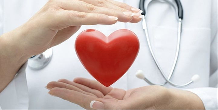 La palta ayuda a prevenir enfermedades cardiovasculares.