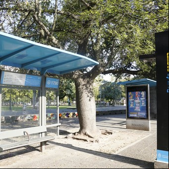 Violencia y muerte en Rosario: la hipótesis de la venganza narco y el mensaje mafioso junto a dos taxistas asesinados