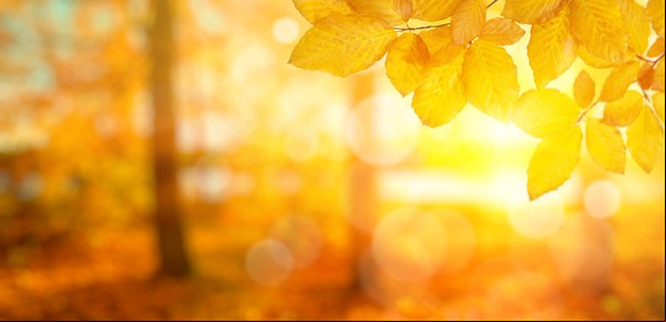 Cuándo es el equinoccio de otoño 2025
