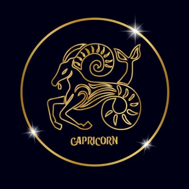 Capricornio, es un buen momento para tomar decisiones sobre recursos compartidos. Foto: ilustración Shutterstock