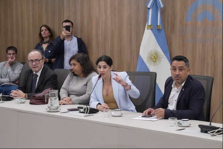 Marcela Pagano sostiene que fue designada como presidenta de la comisión de Juicio Político la semana pasada.