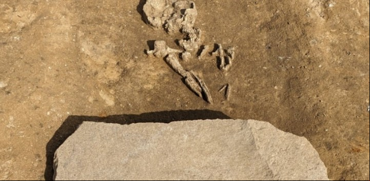 El hombre enterrado tenía una gran piedra colocada sobre sus piernas para evitar que saliera de la tumba (Museo Estatal de Prehistoria de Sajonia-Anhalt).