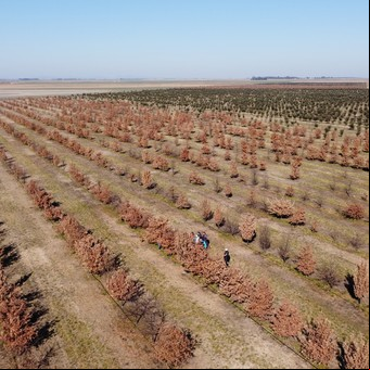 El pueblo de 800 habitantes que guarda un tesoro bajo tierra
