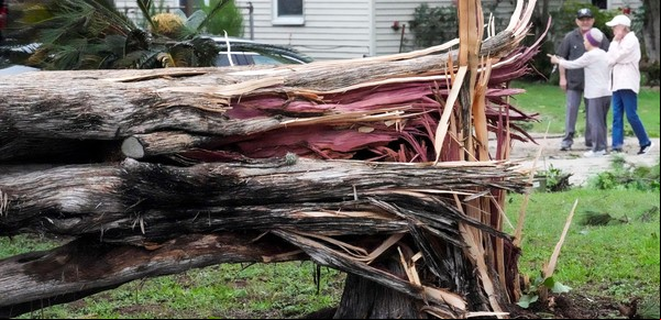 Clima extremo: otro temporal deja 4 muertos y 900.000 viviendas y negocios sin electricidad en Houston