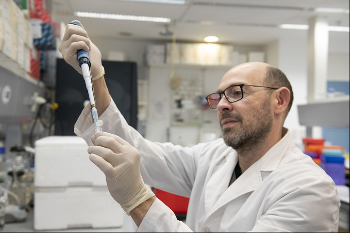 Giusti en el laboratorio. Los investigadores usaron en su trabajo las “tijeras” CRISPR-Cas9. Foto Verónica Tello / Gentileza IbioBA