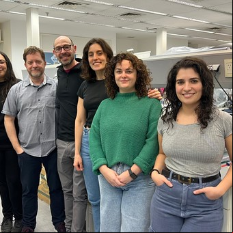 Científicos argentinos identifican en el cerebro una clave para regular el estrés