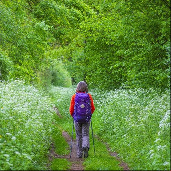 Diario de peregrinos: Cómo es el Camino de Santiago y por qué es una aventura que atrapa a cada vez más gente