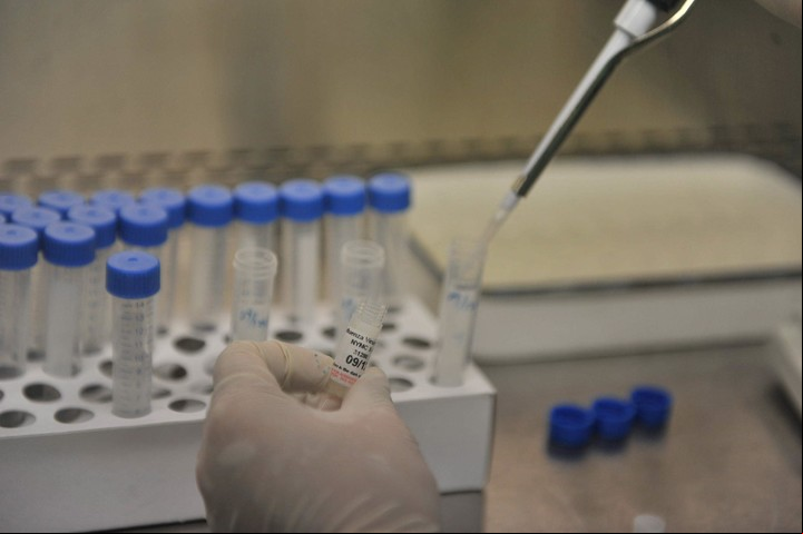 Hay altas sospechas de que el virus del Covid-19 fue creado en un laboratorio en Wuhan, China. Foto EFE