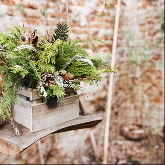 El truco de los jardineros expertos para que tus plantas sobrevivan al invierno sin sufrir y florezcan en primavera