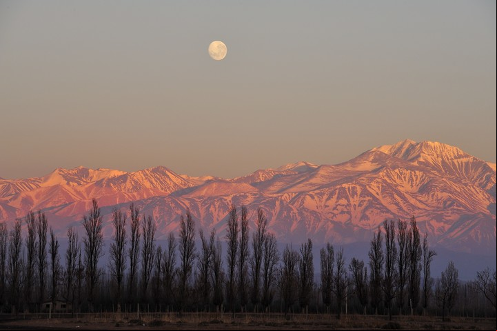 Atardecer en los viñedos de Mendoza. Foto Shutterstock