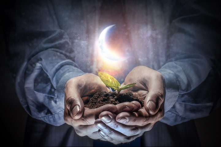 Cáncer se asocia con la raíz y el hogar. Foto: ilustración Shutterstock