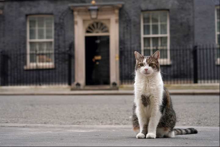 Larry el gato de Downing St., también presente. Foto: AP