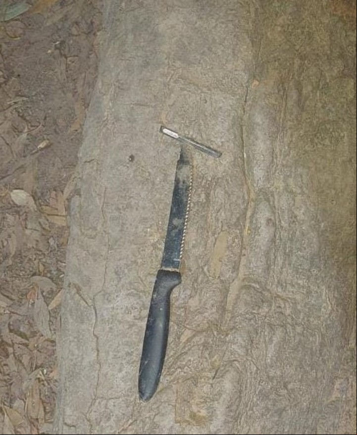 Detuvieron a un hombre que golpeaba autos y amenazaba con un cuchillo. Lo redujeron con una Taser.