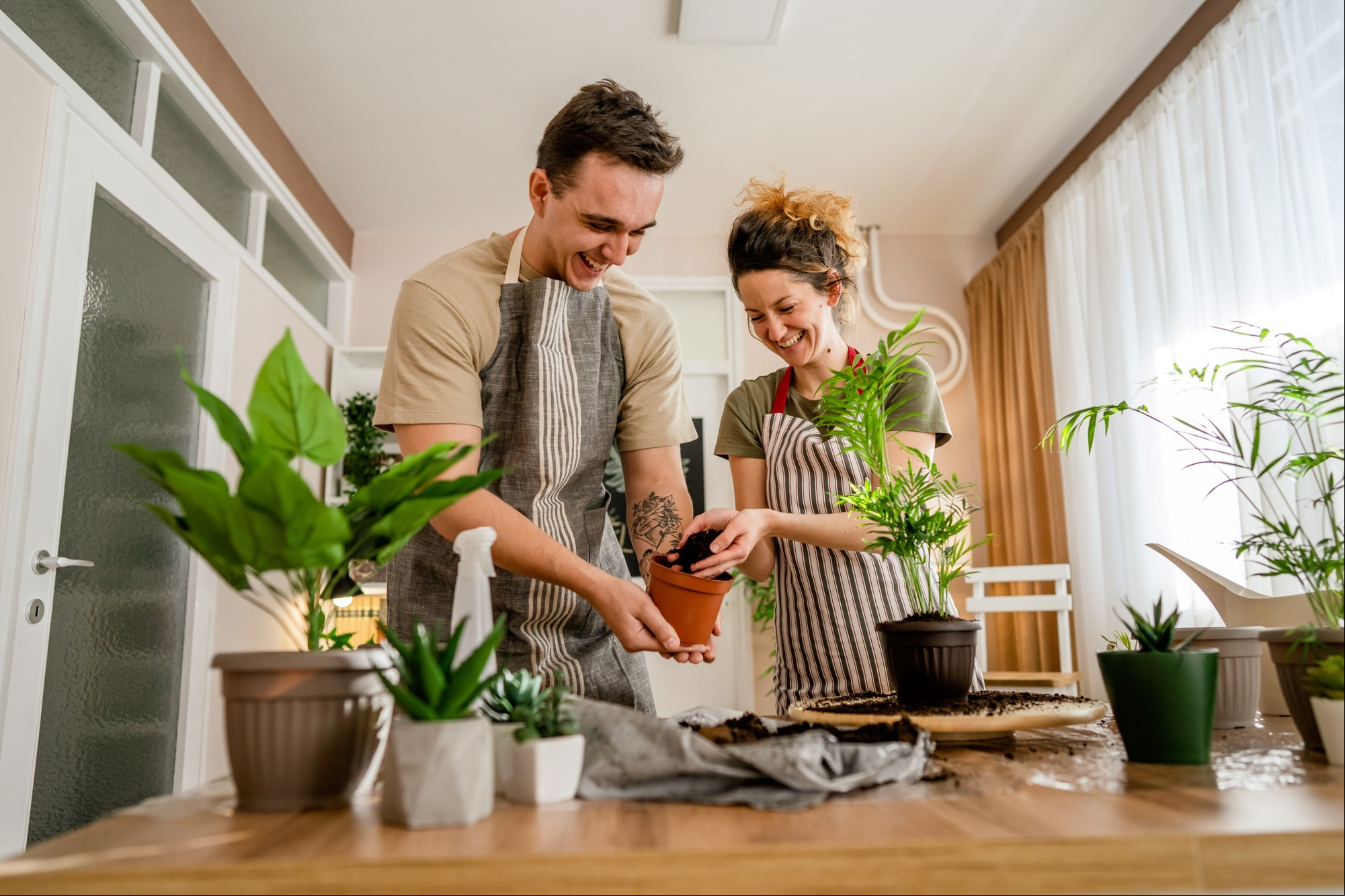 Feng Shui: guía definitiva para usar el poder de las plantas en tu hogar