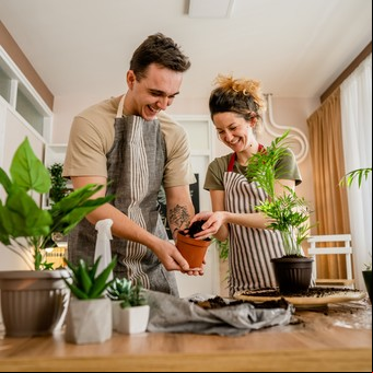 Feng Shui: guía definitiva para usar el poder de las plantas en tu hogar