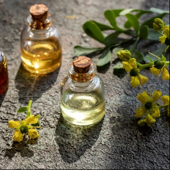 Por qué hacer caña con ruda para el Día de la Pachamama, para qué sirve el té y otras tradiciones del 1° de agosto