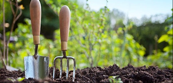Con qué frecuencia regar las plantas en primavera para mantenerlas saludables en primavera