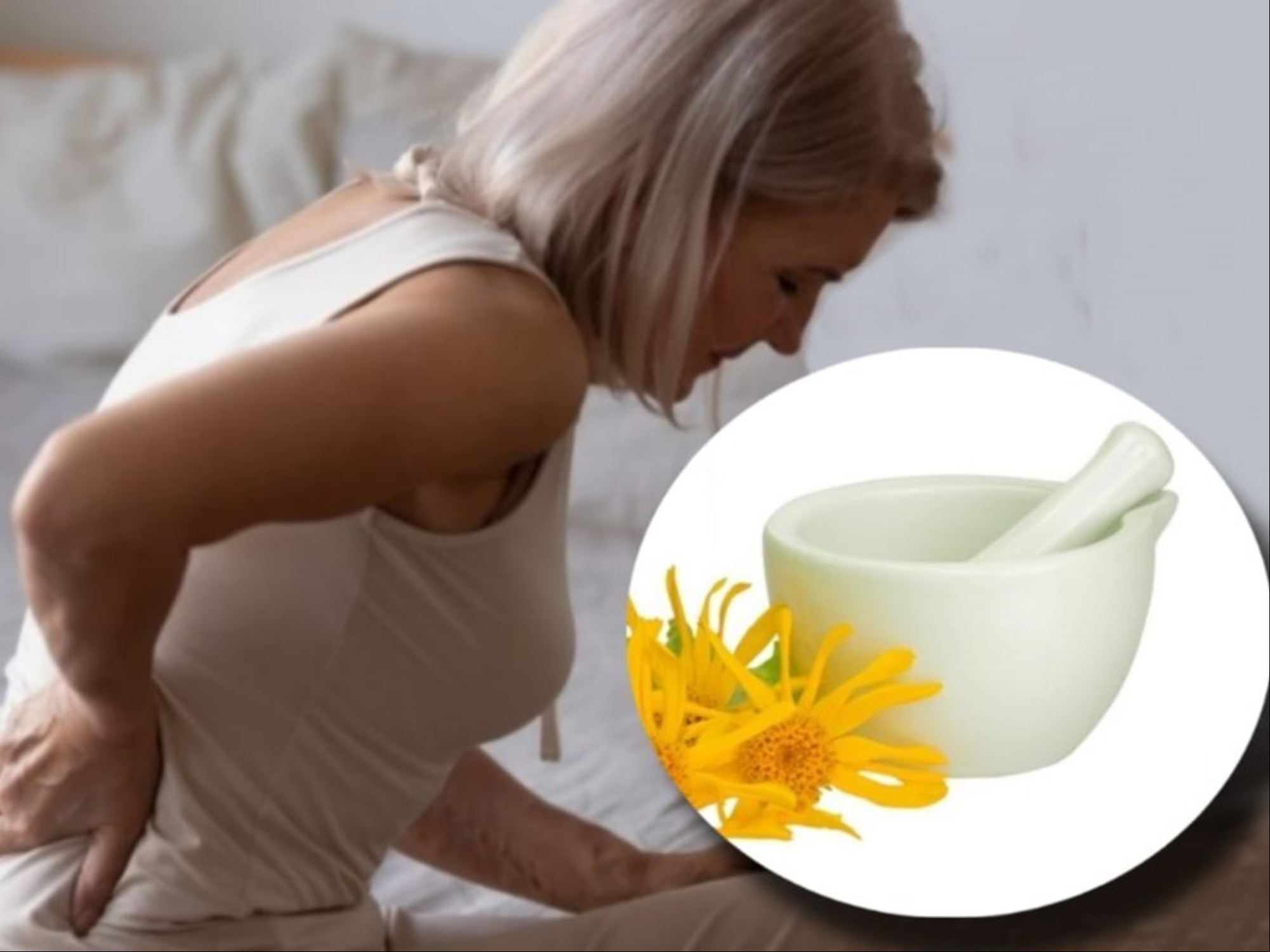 Para qué sirve el árnica y cómo se prepara para aliviar el dolor muscular