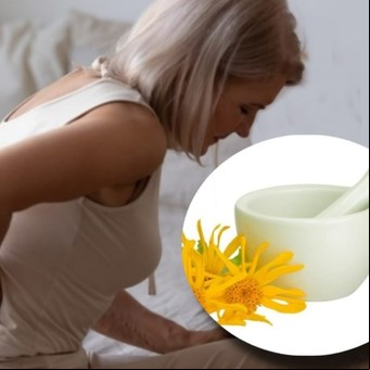 Para qué sirve el árnica y cómo se prepara para aliviar el dolor muscular