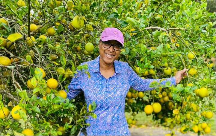 Árbol de limón: ¿Qué hacer para que mi limonero dé frutos? Foto: Pexels.