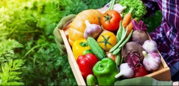 Si las sembrás en otoño, tendrás cosecha para invierno: 4 verduras que podés tener directo de tu huerta