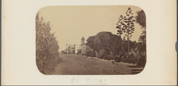 Descubrieron las fotografías más antiguas de Tigre y Pilar en una biblioteca de Nueva York