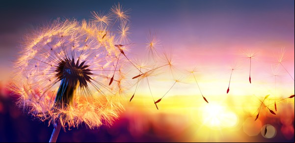 Equinoccio de primavera 2024: significados astrológicos y espirituales