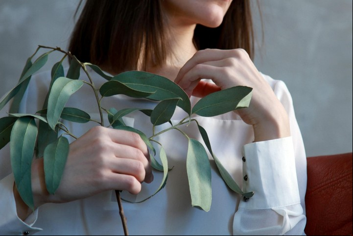 Qué hacer con ramas de eucalipto. Foto: Pexels