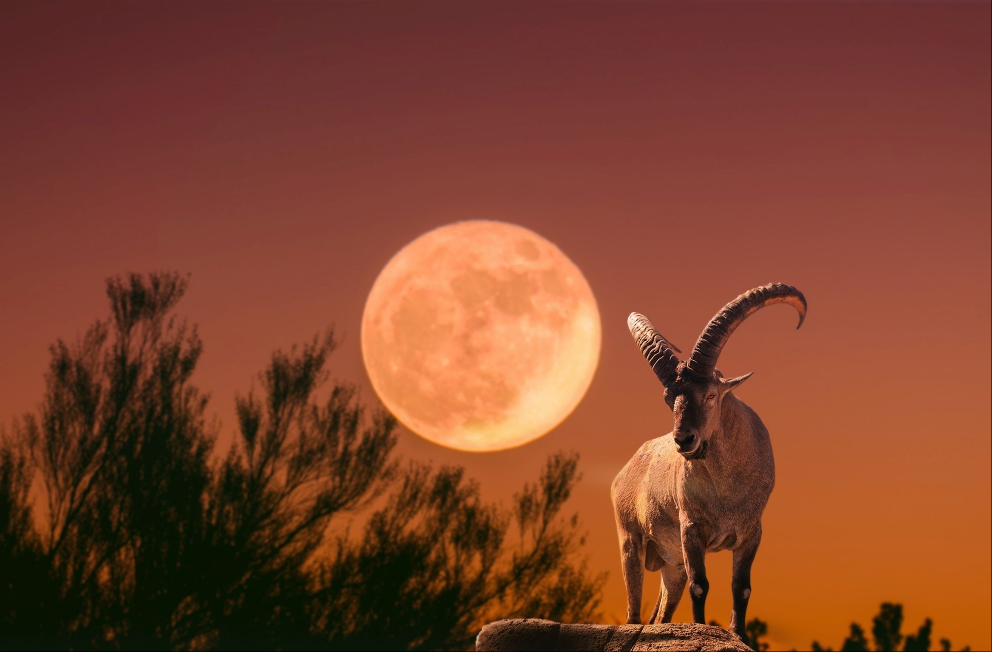 La Luna llena en el grado 24 de Aries llega con toda la potencia ariana. Foto: ilustración Shutterstock