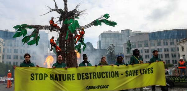 Greenpeace al borde de la quiebra: una demanda de 300 millones que amenaza su lucha ambiental