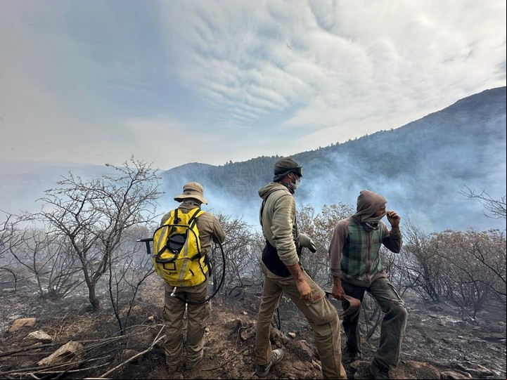 Uno de los fondos debía ser usado para la protección de los bosques nativos.