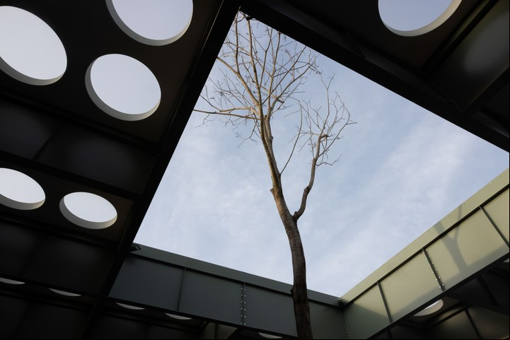 Malba Puertos. Foto: Felipe Bozzani, gentileza Malba.