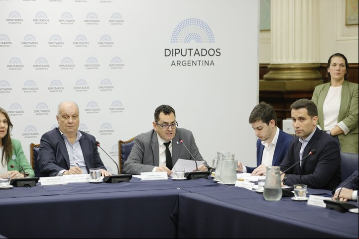 Leonardo Cifelli durante su presentación ante la Comisión de Cultura de la Cámara de Diputados.