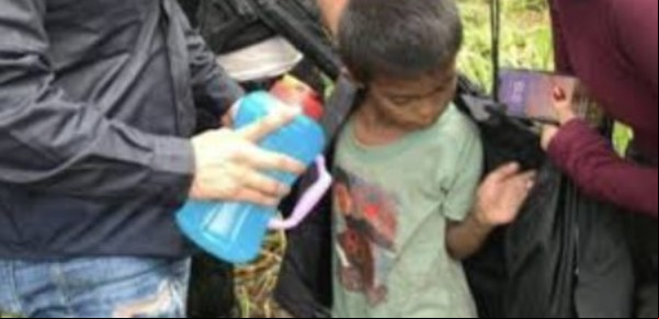 Tras el huracán un niño sobrevivió ocho días en la selva gracias a sus perros